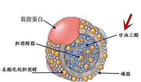 &#20048;&#40060;&#23448;&#26041;&#31471;&#32593;&#31449;&#30331;&#24405;&#20837;&#21475;&#45;&#20048;&#40060;&#108;&#101;&#121;&#117;&#40;&#20013;&#22269;&#41;