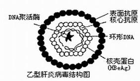 &#20048;&#40060;&#23448;&#26041;&#31471;&#32593;&#31449;&#30331;&#24405;&#20837;&#21475;&#45;&#20048;&#40060;&#108;&#101;&#121;&#117;&#40;&#20013;&#22269;&#41;