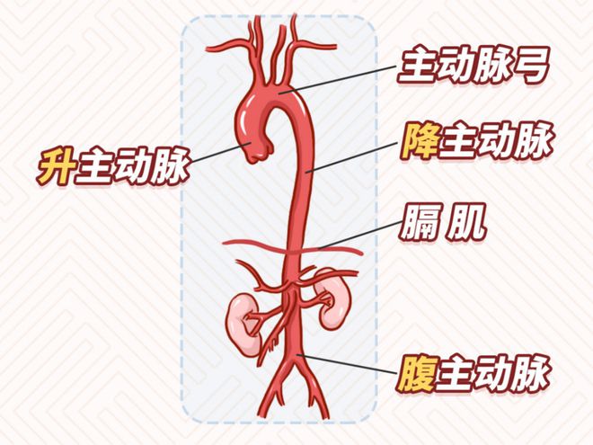 &#20048;&#40060;&#23448;&#26041;&#31471;&#32593;&#31449;&#30331;&#24405;&#20837;&#21475;&#45;&#20048;&#40060;&#108;&#101;&#121;&#117;&#40;&#20013;&#22269;&#41;